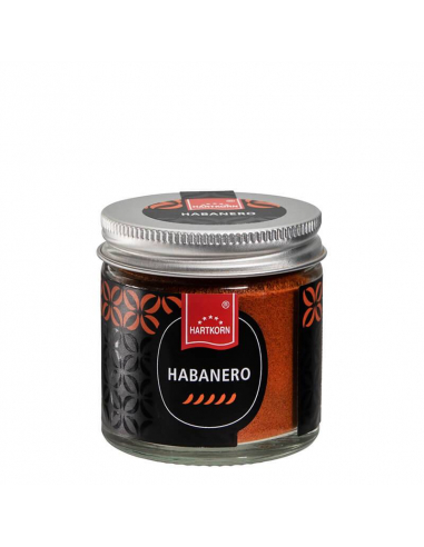 Habanero gourmet spice in jar
