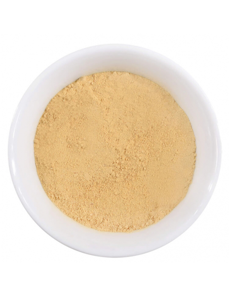 Spice illustration Spice illustration