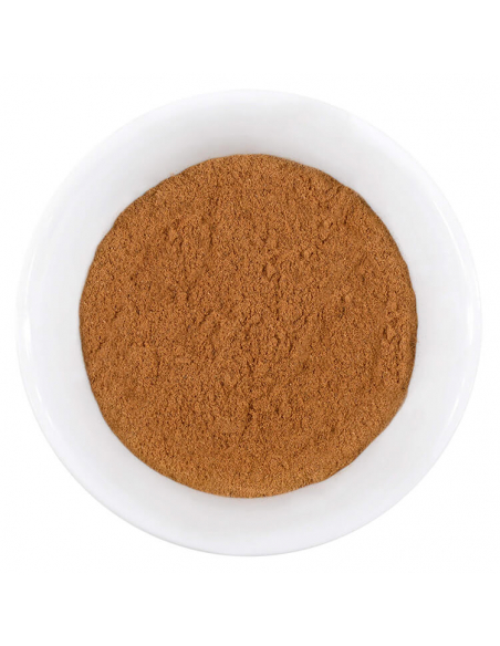 Spice illustration Spice illustration