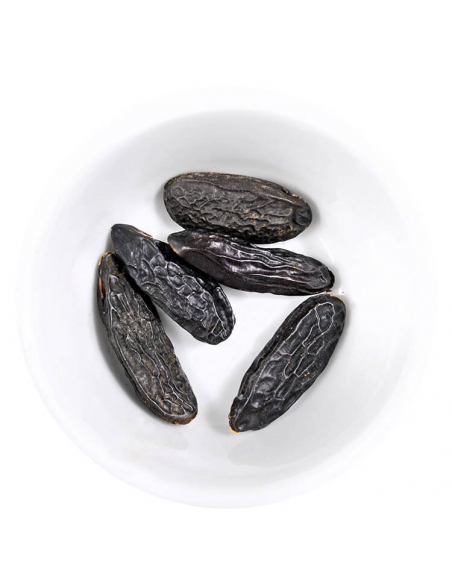 Spice illustration Spice illustration
