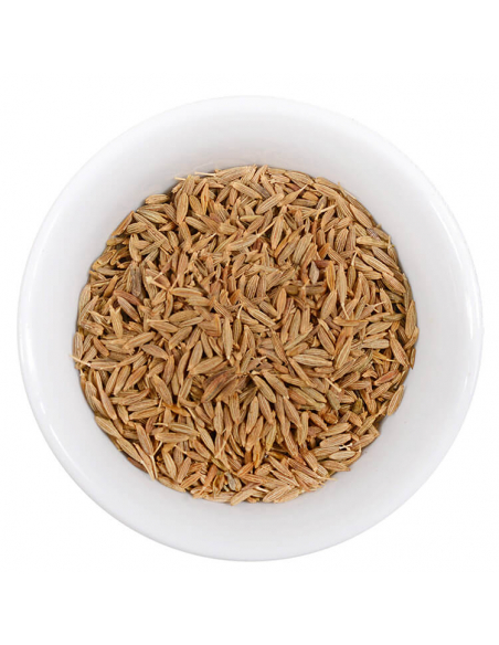 Weiße Schale mit getrockneten, braunen Kreuzkümmelsamen (Cumin) Weiße Schale mit getrockneten, braunen Kreuzkümmelsamen (Cumin)