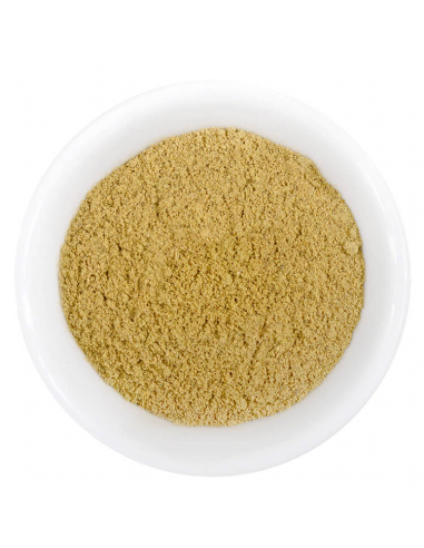 Heller, grünlich-beiger, feiner Gewürzpulverhügel in weißer Schale.