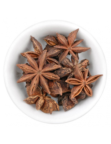 Star anise illustration