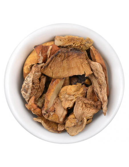 Picture of dried porcini mushrooms Picture of dried porcini mushrooms