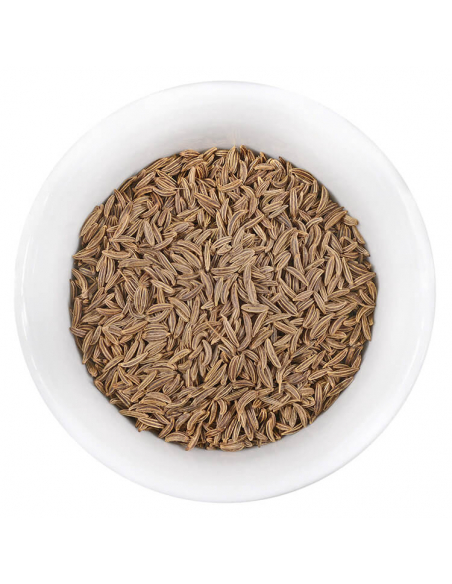 Weiße Schale mit ganzen, bräunlichen Kümmelsamen. Weiße Schale mit ganzen, bräunlichen Kümmelsamen.