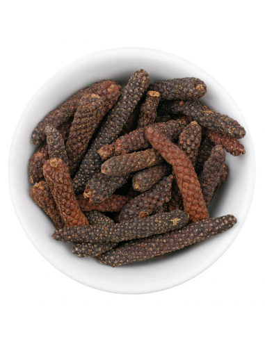 Long pepper illustration