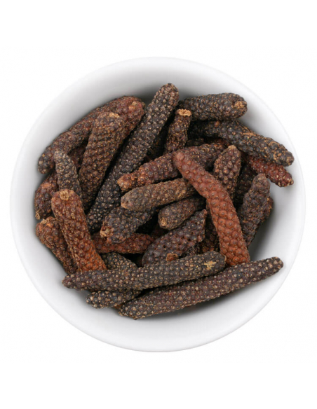 Long pepper illustration