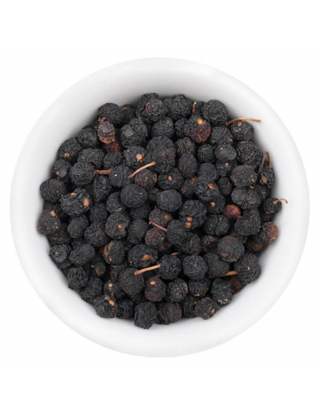 Tasmanian mountain pepper illustration