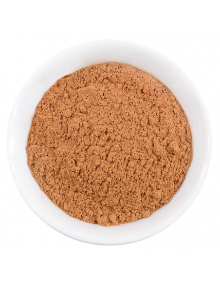 Darstellung Weiße Schale mit feinem, hellbraunem Zimtpulve