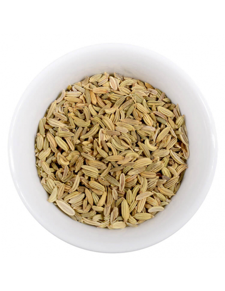 Representation of the fennel seed Representation of the fennel seed