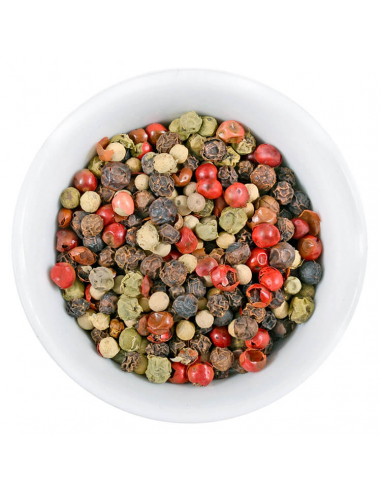 Weiße Schale mit buntem Pfeffermix aus schwarzen, grünen, weißen und roten Körnern