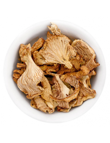 Getrocknete Pfifferlinge in einer weißen Schüssel. Die Pilze sind in größeren Stücken und braun-gelblich in der Farbe. Getrocknete Pfifferlinge in einer weißen Schüssel. Die Pilze sind in größeren Stücken und braun-gelblich in der Farbe.