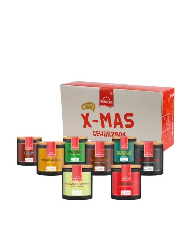 Geschenkbox mit der Aufschrift „X-Mas Gewürzbox“. Davor bunte Pappdosen mit Korkdeckel, die verschiedene Gewürze enthalten.