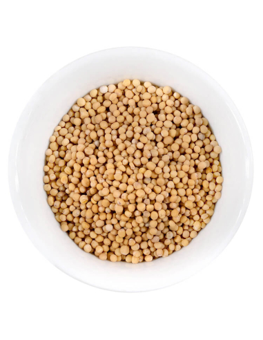 Mustard seeds picture