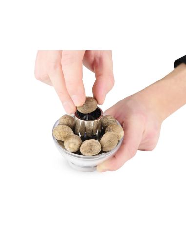 Peugeot Muskatmühle Tidore