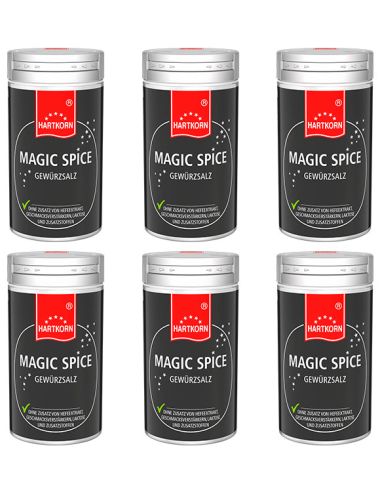 Magic Spice Gewürzstreuer – 6er Set