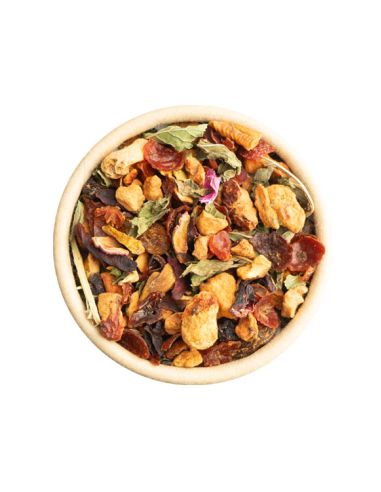 TeeFritz Blaue Stunde – Bio-Früchtetee