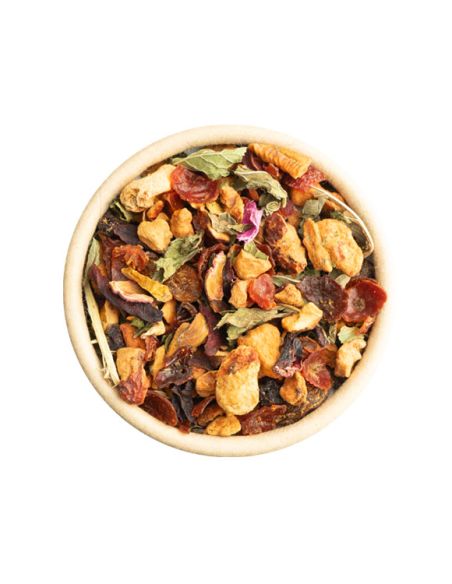 TeeFritz Blaue Stunde – Bio-Früchtetee