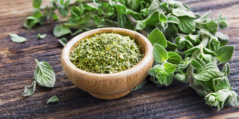 PA in Oregano