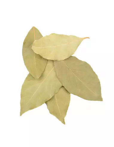 Bay leaves whole spice view - hard grain