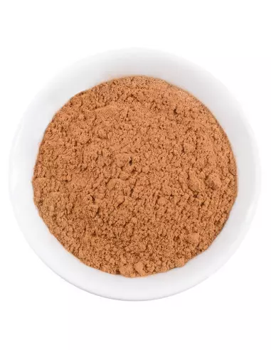 Presentation of the cinnamon cassia