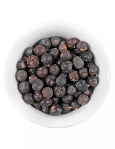 Darstellung der Wacholderbeeren