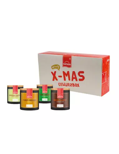 Spicy Xmas spice box (4 pieces)