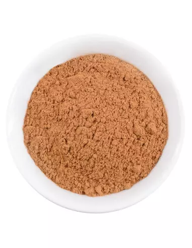 Representation of the cinnamon cassia
