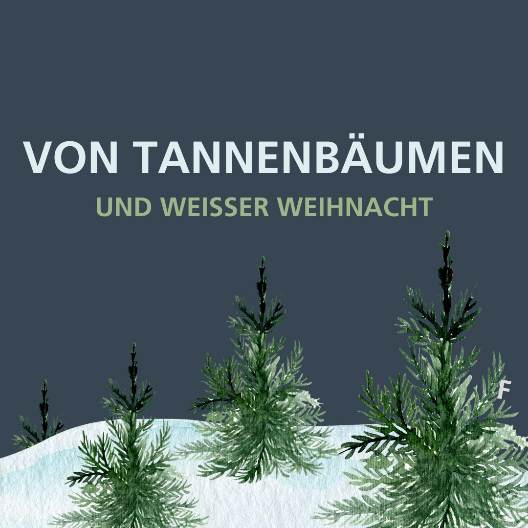 Hartkorn Gewürze Türchen 19